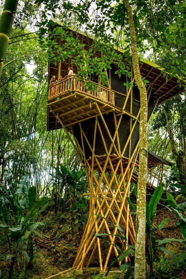 Eco Hotel Hacienda El Diamante บูกา ภายนอก รูปภาพ